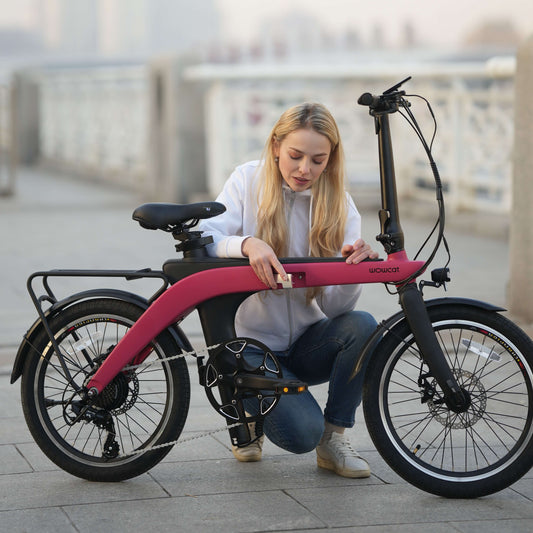 How to Choose The Best Ebike